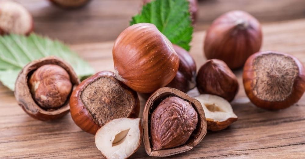 hazelnut-in-marathi-mayboli-in